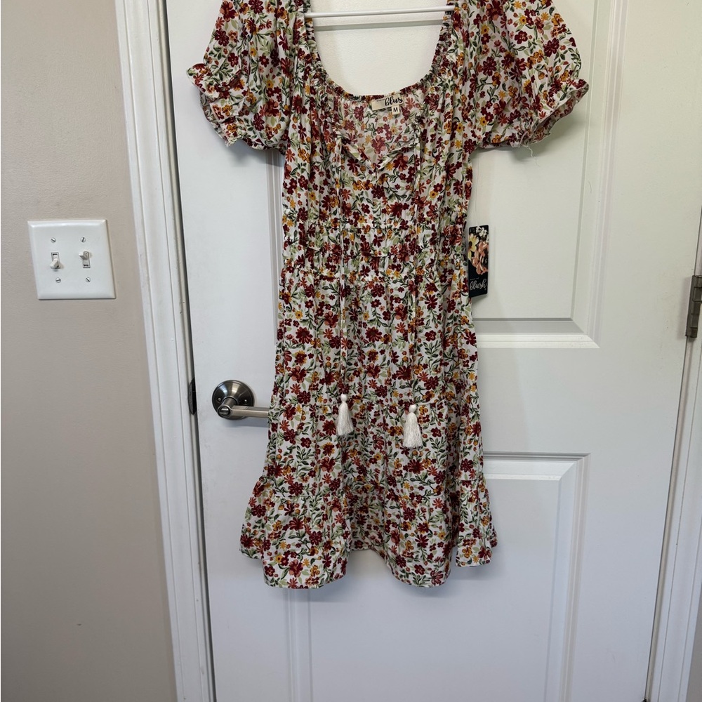 Blush Cream Midi Dress with Red & Green Floral Print